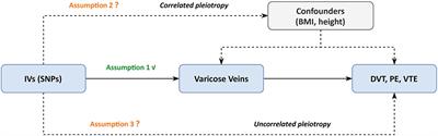 Varicose Veins and Risk of Venous Thromboembolic Diseases: A Two-Sample-Based Mendelian Randomization Study